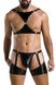 Комплект эротического мужского белья Passion 047 Set John L/XL Black, трусы, портупея фото