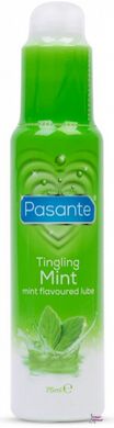 Лубрикант на водной основе Pasante Tingling Mint Lube 75ml фото и описание