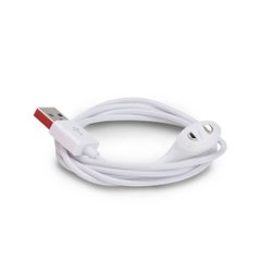 Универсальный магнитный USB-кабель для зарядки игрушек We-Vibe — Universal Magnetic Charging Cable фото и описание
