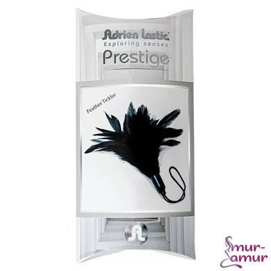 Мітелка Adrien Lastic Prestige фото і опис
