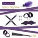 Подарочный набор для BDSM RIANNE S - Kinky Me Softly Purple: 8 предметов для удовольствия фото