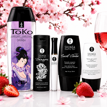 Подарунковий набір Shunga Naughtier Kit, 5 продуктів для інтимної стимуляції