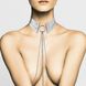 Украшение Bijoux Indiscrets Desir Metallique Collar - Silver фото
