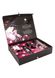 Подарочный набор Shunga NAUGHTY Cosmetic Kit: смазка и стимулирующие средства для него и для нее фото
