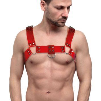 Чоловіча портупея на груди Feral Feelings - Bulldog Harness Red Trasparent фото і опис