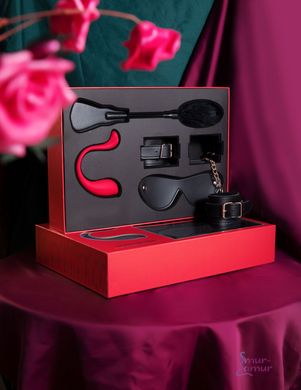 Премиальный подарочный набор для нее Svakom Limited Gift Box с интерактивной игрушкой фото и описание