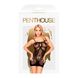 Міні-сукня сітка Penthouse - Above & Beyond Black S-L фото