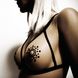 Пэстис из кристаллов Bijoux Indiscrets - Mimi Black, украшение на грудь фото