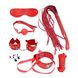 Набір MAI BDSM STARTER KIT Nº75: батіг, кляп, наручники, маска, нашийник з повідцем, мотузка, затиск фото