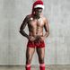 Новогодний мужской эротический костюм Любимый Санта фото
