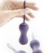 Набір вагінальних кульок Je Joue - Ami Purple, діаметр 3,8-3,3-2,7см, вага 54-71-100гр фото