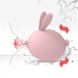 Вакуумний стимулятор з вібрацією KisToy Miss KK Pink фото