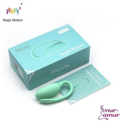 Смарт-тренажер Кегеля Magic Motion Kegel Rejuve, бюджетный вариант, для тренировок и удовольствия фото и описание