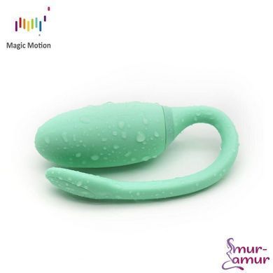 Смарт-тренажер Кегеля Magic Motion Kegel Rejuve, бюджетный вариант, для тренировок и удовольствия фото и описание