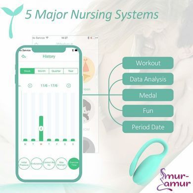 Смарт-тренажер Кегеля Magic Motion Kegel Rejuve, бюджетный вариант, для тренировок и удовольствия фото и описание