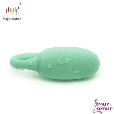 Смарт-тренажер Кегеля Magic Motion Kegel Rejuve, бюджетный вариант, для тренировок и удовольствия фото и описание