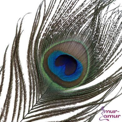 Щекоталка LOCKINK SEVANDA Natural Peacock Flirting Feather Tickler, перья павлина и страуса фото и описание