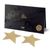 Пестіс - стикини Bijoux Indiscrets - Flash Star Gold, наклейки на соски фото і опис