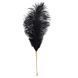 Щекоталка LOCKINK SEVANDA Natural Peacock Flirting Feather Tickler, перья павлина и страуса фото