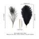 Щекоталка LOCKINK SEVANDA Natural Peacock Flirting Feather Tickler, перья павлина и страуса фото