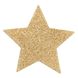 Пэстис - стикини Bijoux Indiscrets - Flash Star Gold, наклейки на соски фото