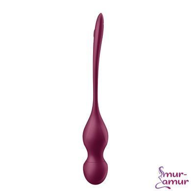 Смарт-вагинальные шарики с вибрацией Satisfyer Love Birds Vary Connect App, изменяемая масса, пульт фото и описание