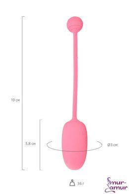 Смарт-тренажер Кегеля для жінок Magic Motion Kegel Coach фото і опис
