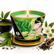 Массажная свеча Shunga Massage Candle &ndash; Exotic Green Tea (170 мл) с афродизиаками фото и описание