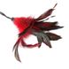Метелочка-щекоталка Sportsheets - PLEASURE FEATHER RED на веревочной петле фото