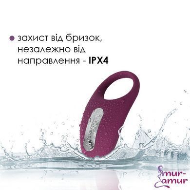Ерекційне кільце з вібрацією та пультом ДК Svakom Winni Violet фото і опис