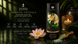 Соль для ванны Shunga Oriental Crystals Bath Salts ORGANIC - Lotus Flower (500 г) соль Мертвого моря